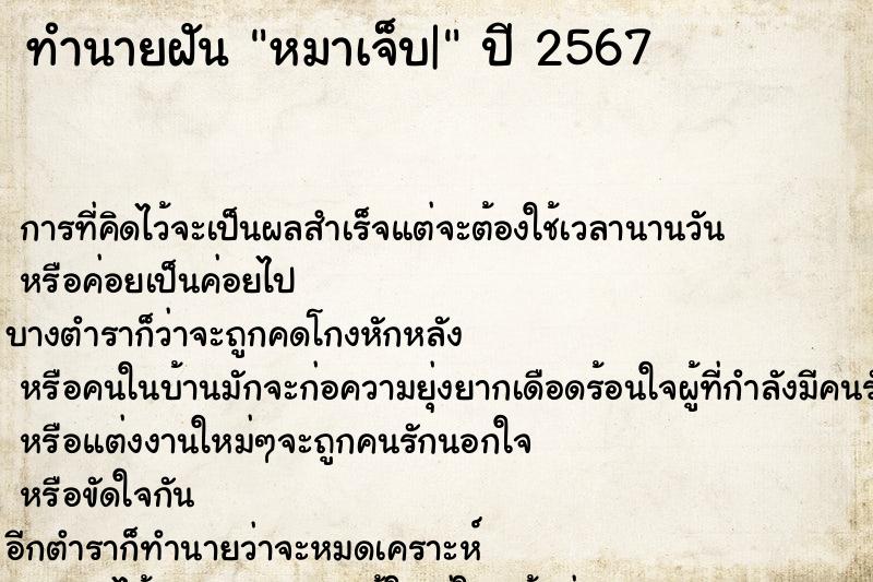 ทำนายฝัน หมาเจ็บ|